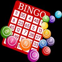 Bingo Express capture d'écran 1