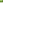 APK P2P