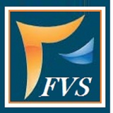 FVS(Field Verification System) icône