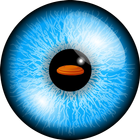 eyeGymVR أيقونة