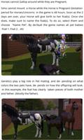 Best Guide For The Sims 3 Pets capture d'écran 2