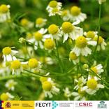 Las plantas y el hombre Pro