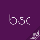 BSC System 圖標