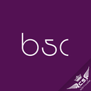 BSC System APK