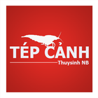 Tepcanhcom - Aquarium Shrimps 圖標