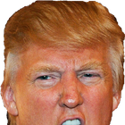 Donald Trump Border-Patrol icon