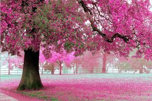 3D HD Wallpapers screenshot 3