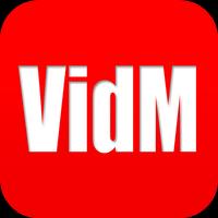 VidMet 截图 1