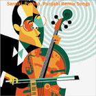 Saraiki, Pashto, Punjabi Remix Songs アイコン