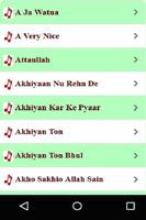Saraiki, Pashto, Punjabi Remix Songs скриншот 3