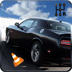 download Vero manuale auto simulator 3d APK