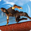 Real Ninja Guerrero Asombroso