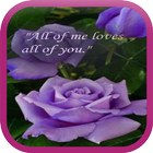 Cute Love Quotes WP-icoon