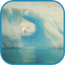 Antarctica Cool WPs APK