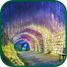 Tree Tunnel WPs 아이콘