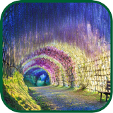 Tree Tunnel WPs icône