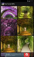 Tree Tunnel WPs Affiche