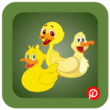 Duck Puzzle (PR Games)
