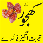 khajoor ke faide 图标