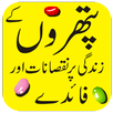 pathron ke khawas APK