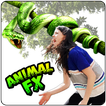 Animal FX Photo Editor Studio