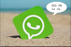 dual whatsapp messenger 2016 پوسٹر