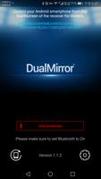 DualMirror скриншот 1