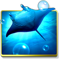 Ocean HD