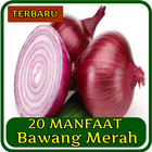 ikon 20 Manfaat Bawang Merah