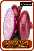 20 Manfaat Bawang Merah poster