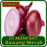 20 Manfaat Bawang Merah ảnh chụp màn hình 3