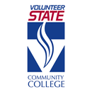 VolState Mobile APK