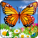 Dubai Butterfly Garden 360View APK