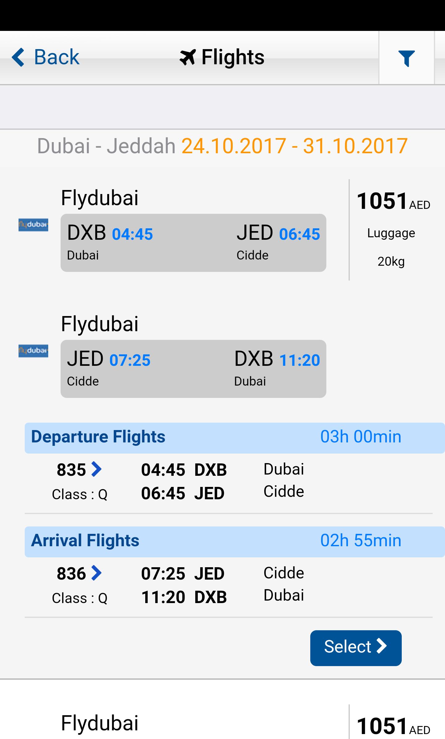 Авиабилеты купить flydubai. Билет Флай Дубай. Flydubai Москва Дубай. Электронный билет flydubai. Авиарейс Москва Дубай flydubai.