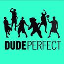 APK Dude Perfect Videos