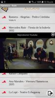 Flamenco - Cante y Baile capture d'écran 1