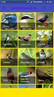 100+ harmonia dos  pássaros 스크린샷 3