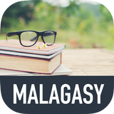 Learn Malagasy icono