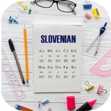 Learn Slovenian icône