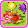 Bubble Fruits