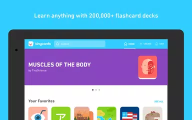 tinycards by duolingo fun free flashcards apk 1 0 download for android latest version apkfab com swedish