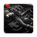 Auto Repair