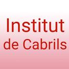 Institut Cabrils icône