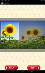 Baixar Efeito Foco APK