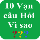 ikon 10 van cau hoi vi sao