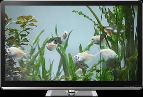Fish Tank on TV via Chromecast Affiche