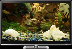 Fish Tank on TV via Chromecast capture d'écran 1