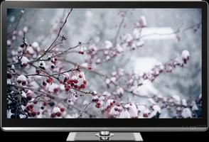 Snowfall on TV via Chromecast Affiche