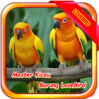 Master Kicau Lovebirds icon