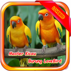 Master Kicau Lovebirds biểu tượng